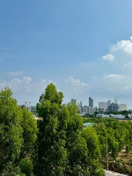 Dusit Grand Park : ดุสิตแกรนด์พาร์ค, ชลบุรี, 384/206 หมู่ 12 ถนนจอมเทียนสายหนึ่ง, บางละมุง, บางละมุง, ชลบุรี, 35 ตร.ม., คอนโด ขาย, โดย วนัชภรณ์ แก้วลาน, 500279657 - DDproperty.com