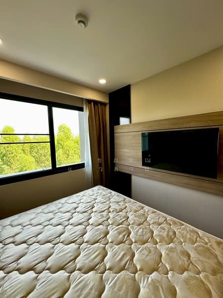 Dusit Grand Park, Chon Buri (Pattaya), 384/206, Moo 12, Jomtiensaineung Road, Bang Lamung, Bang Lamung (Pattaya), Chon Buri (Pattaya), 1 Bedroom, 35 sqm, Condo For Sale, by วนัชภรณ์ แก้วลาน, 500279657 - DDproperty.com