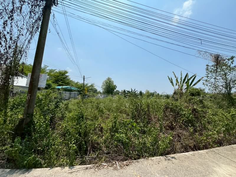 ที่ดินเปล่า เนื้อที่ 300 ตร.ว. ถนนรังสิต – นครนายก ตำบลบ้านใหญ่ อำเภอเมืองนครนายก จังหวัดนครนายก, Nakhon Nayok, รังสิต นครนายก, Ban Yai, Muang Nakhon Nayok, Nakhon Nayok, , 1,200 sqm, Land For Sale, by ภัทรนัน อิศรางกูร ณ อยุธยา, 500279772 - DDproperty.com