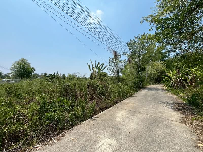 ที่ดินเปล่า เนื้อที่ 300 ตร.ว. ถนนรังสิต – นครนายก ตำบลบ้านใหญ่ อำเภอเมืองนครนายก จังหวัดนครนายก, นครนายก, รังสิต นครนายก, บ้านใหญ่, เมืองนครนายก, นครนายก, 1,200 ตร.ม., ที่ดิน ขาย, โดย ภัทรนัน อิศรางกูร ณ อยุธยา, 500279772 - DDproperty.com