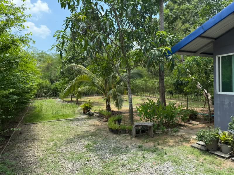 ที่ดินพร้อมสิ่งปลูกสร้างเนินหอม ปราจีนบุรี, Prachin Buri, Noen Hom, Muang Prachin Buri, Prachin Buri, , 3,200 sqm, Land For Sale, by The Best Property แอม, 500280071 - DDproperty.com
