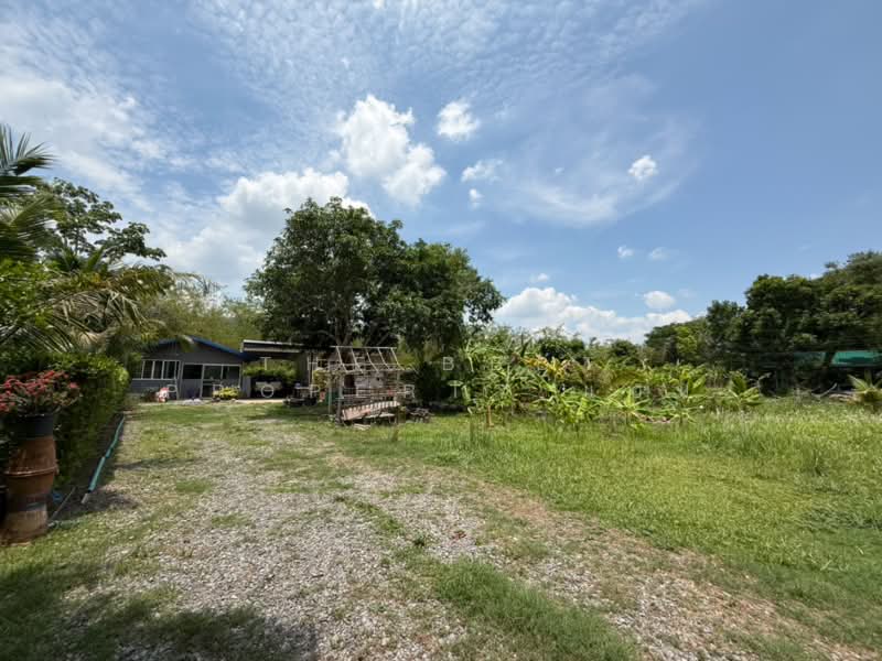 ที่ดินพร้อมสิ่งปลูกสร้างเนินหอม ปราจีนบุรี, Prachin Buri, Noen Hom, Muang Prachin Buri, Prachin Buri, , 3,200 sqm, Land For Sale, by The Best Property แอม, 500280071 - DDproperty.com