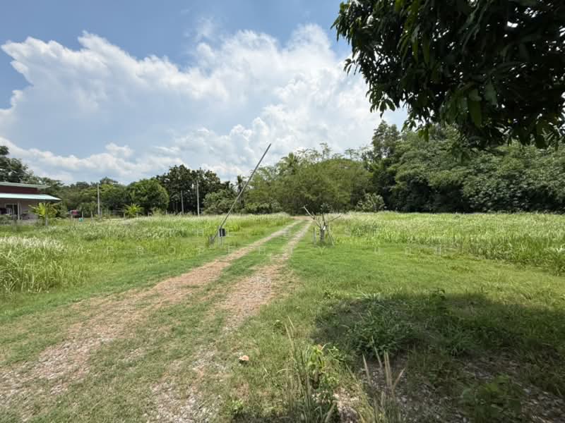 ที่ดินพร้อมสิ่งปลูกสร้างเนินหอม ปราจีนบุรี, Prachin Buri, Noen Hom, Muang Prachin Buri, Prachin Buri, , 3,200 sqm, Land For Sale, by The Best Property แอม, 500280071 - DDproperty.com