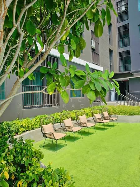 Rich Point @ BTS Wutthakat, Bangkok, Wutthakat Road, Talat Plu, Thon Buri, Bangkok, 1 Bedroom, 27 sqm, Condo For Rent, by Penpicha Phumprachian, 500280202 - DDproperty.com