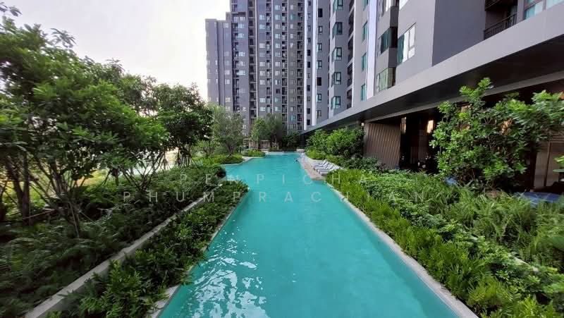 Life Sathorn Sierra, Bangkok, Ratchaphruek Rd, Talat Plu, Thon Buri, Bangkok, 1 Bedroom, 40 sqm, Condo For Rent, by Penpicha Phumprachian, 500280230 - DDproperty.com