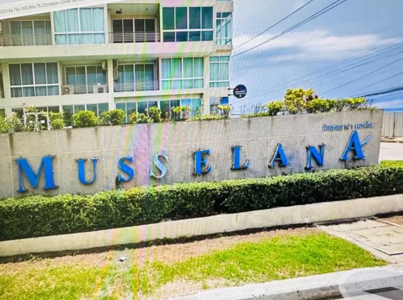 Musselana, Chon Buri (Pattaya), 121 Jomtein Road, Na Kloe, Bang Lamung (Pattaya), Chon Buri (Pattaya), Studio, 44 sqm, Condo For Sale, by Pattanapong Pongpipat, 500280329 - DDproperty.com