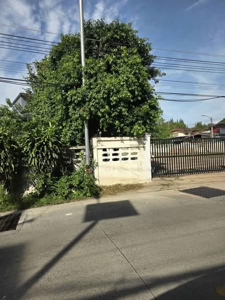 บ้าน 5-ห้องนอน, ชลบุรี, สุรศักดิ์, ศรีราชา, ชลบุรี, 410 ตร.ม., บ้านเดี่ยว ให้เช่า, โดย Jirapat Chuangsawadsak, 500280648 - DDproperty.com
