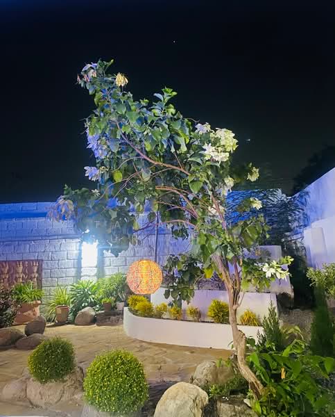 undefined, Chon Buri (Pattaya), Nong Pru, Bang Lamung (Pattaya), Chon Buri (Pattaya), 6 Bedrooms, 1,291 sqm, Single Detached House For Rent, by Tanawan Surichai, 500280725 - DDproperty.com