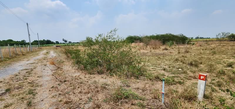 Land plot in Moo 12, Phlapphlachai Subdistrict, Uthong District, Suphan Buri Province., Suphan Buri, Phapphachai, U Thong, Suphan Buri, , 4,800 sqm, Land For Sale, by ภูสยาม ธัญปริภัทร์, 500280739 - DDproperty.com