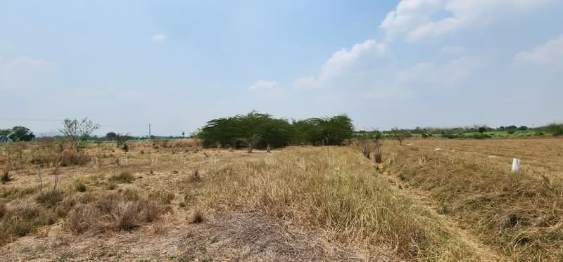 Land plot in Moo 12, Phlapphlachai Subdistrict, Uthong District, Suphan Buri Province., Suphan Buri, Phapphachai, U Thong, Suphan Buri, , 4,800 sqm, Land For Sale, by ภูสยาม ธัญปริภัทร์, 500280739 - DDproperty.com