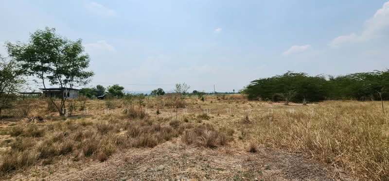ที่่ดินจัดสรร หมู่.12 ตำบลพลับพลาไชย อำเภออู่ทอง จังหวัดสพรรณบุรี, สุพรรณบุรี, พลับพลาไชย, อู่ทอง, สุพรรณบุรี, 4,800 ตร.ม., ที่ดิน ขาย, โดย ภูสยาม ธัญปริภัทร์, 500280739 - DDproperty.com