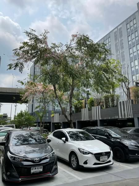 Moniiq Sukhumvit 64, Bangkok, Soi Sukhumvit 64, Bang Chak, Phra Khanong, Bangkok, 2 Bedrooms, 39 sqm, Condo For Rent, by Thanachot Khantigamongun, 500280779 - DDproperty.com
