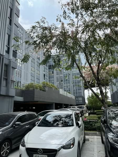 Moniiq Sukhumvit 64, Bangkok, Soi Sukhumvit 64, Bang Chak, Phra Khanong, Bangkok, 2 Bedrooms, 39 sqm, Condo For Rent, by Thanachot Khantigamongun, 500280779 - DDproperty.com
