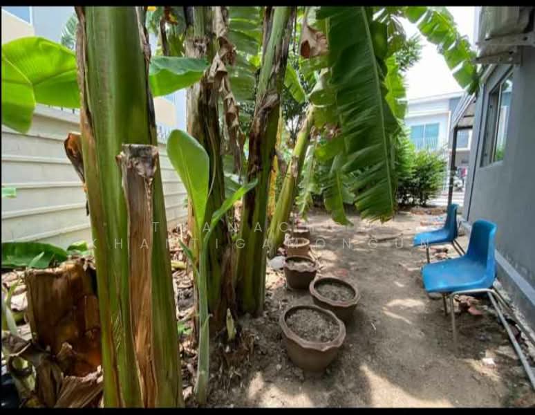 บ้าน 3-ห้องนอน, กรุงเทพ, ออเงิน, สายไหม, กรุงเทพ, 150 ตร.ม., บ้านเดี่ยว ขาย, โดย Thanachot Khantigamongun, 500280781 - DDproperty.com