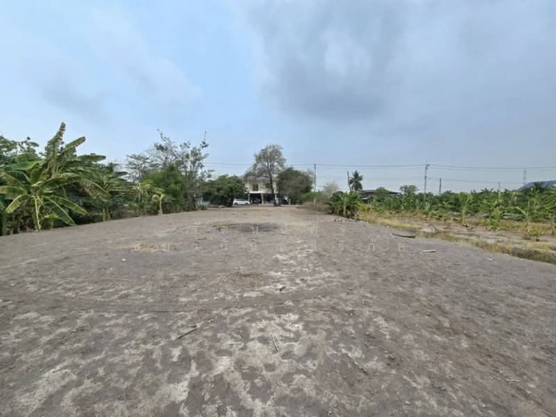 ไม่พบโครงการ, Pathum Thani, เลียบคลองบางหลวงไหว้พระ, Khu Bang Luang, Lat Lum Kaeo, Pathum Thani, , 2,444 sqm, Land For Sale, by รัตนฉัตร์ ชยานันท์สิริภัค, 500280851 - DDproperty.com