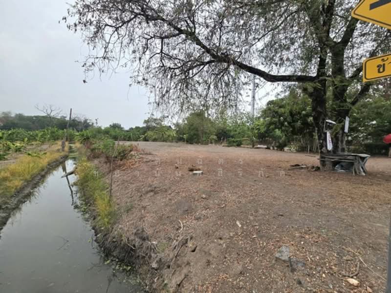 ไม่พบโครงการ, Pathum Thani, เลียบคลองบางหลวงไหว้พระ, Khu Bang Luang, Lat Lum Kaeo, Pathum Thani, , 2,444 sqm, Land For Sale, by รัตนฉัตร์ ชยานันท์สิริภัค, 500280851 - DDproperty.com
