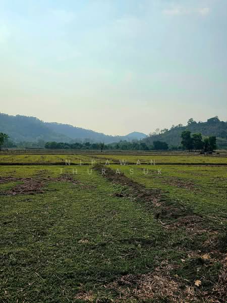 เขาเพิ่ม, Nakhon Nayok, Khao Phoem, Ban Na, Nakhon Nayok, , 16,684 sqm, Land For Sale, by Nipawan Thurasuk, 500280860 - DDproperty.com
