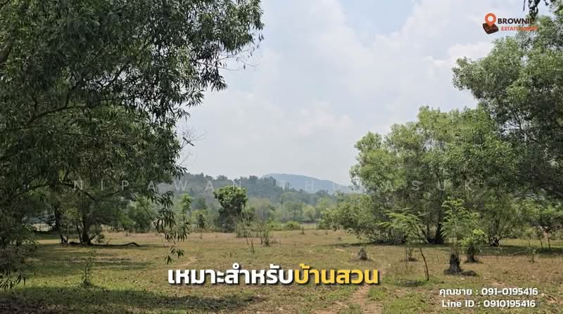 เขาเพิ่ม, นครนายก, เขาเพิ่ม, บ้านนา, นครนายก, 16,684 ตร.ม., ที่ดิน ขาย, โดย Nipawan Thurasuk, 500280860 - DDproperty.com