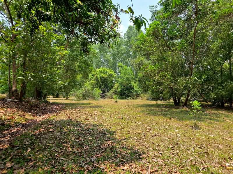 เขาเพิ่ม, Nakhon Nayok, Khao Phoem, Ban Na, Nakhon Nayok, , 16,684 sqm, Land For Sale, by Nipawan Thurasuk, 500280860 - DDproperty.com