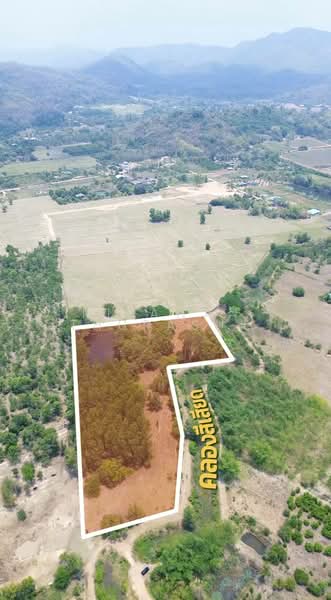 เขาเพิ่ม, นครนายก, เขาเพิ่ม, บ้านนา, นครนายก, 16,684 ตร.ม., ที่ดิน ขาย, โดย Nipawan Thurasuk, 500280860 - DDproperty.com