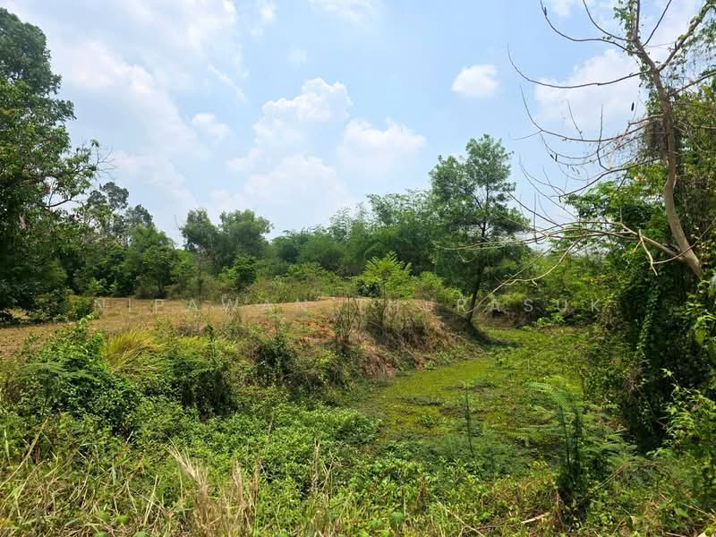 เขาเพิ่ม, นครนายก, เขาเพิ่ม, บ้านนา, นครนายก, 16,684 ตร.ม., ที่ดิน ขาย, โดย Nipawan Thurasuk, 500280860 - DDproperty.com