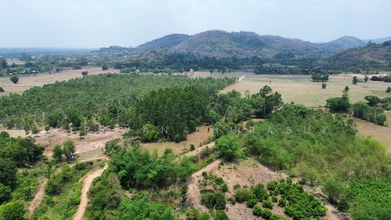 เขาเพิ่ม, นครนายก, เขาเพิ่ม, บ้านนา, นครนายก, 16,684 ตร.ม., ที่ดิน ขาย, โดย Nipawan Thurasuk, 500280860 - DDproperty.com