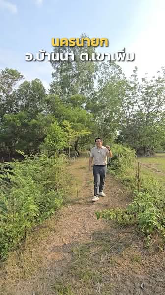 เขาเพิ่ม, นครนายก, เขาเพิ่ม, บ้านนา, นครนายก, 16,684 ตร.ม., ที่ดิน ขาย, โดย Nipawan Thurasuk, 500280860 - DDproperty.com