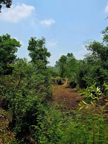 เขาเพิ่ม, Nakhon Nayok, Khao Phoem, Ban Na, Nakhon Nayok, , 16,684 sqm, Land For Sale, by Nipawan Thurasuk, 500280860 - DDproperty.com