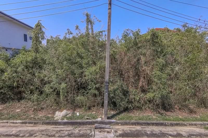Chaiyapruek Bangbuathong, Nonthaburi, Soi Chaiyapruek Village, Bang Bua Thong, Bang Bua Thong, Nonthaburi, , 500 sqm, Land For Sale, by อดิเทพ ภระมรทัต, 500280901 - DDproperty.com