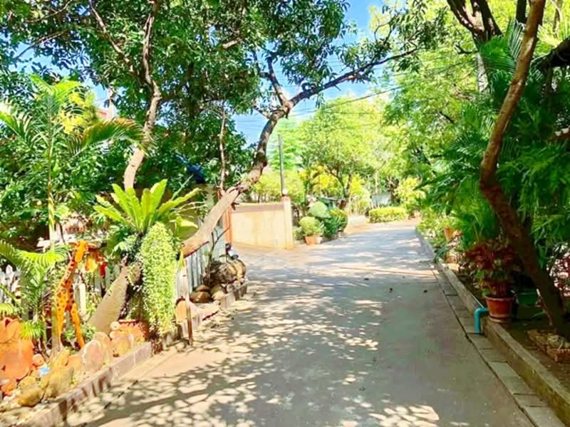 ไม่พบโครงการ, กรุงเทพ, วิภาวดีรังสิต, สามเสนใน, พญาไท, กรุงเทพ, 400 ตร.ม., บ้านเดี่ยว ให้เช่า, โดย ณัฐพงศ์ สุนทรอรุณ, 500280907 - DDproperty.com