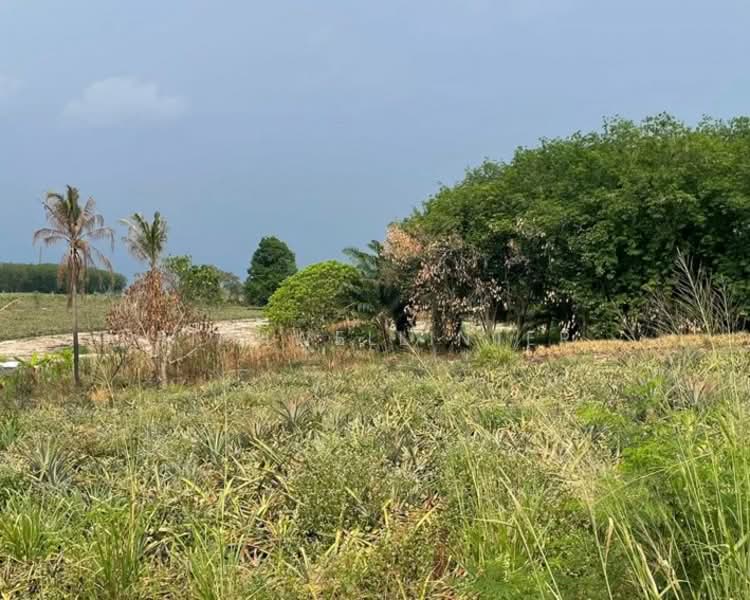4 rai of prime land for sale in Makham Khu, Muang Lai, Nikhom Pattana District., Rayong, Makhamku, Nikhom Pattana, Rayong, , 6,400 sqm, Land For Sale, by richwellinter, 500281024 - DDproperty.com