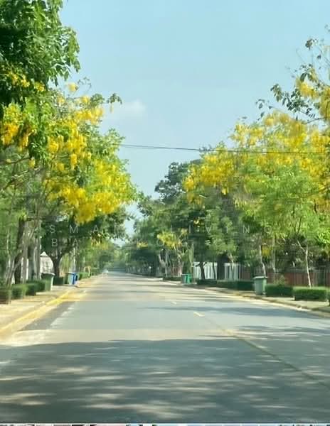 Navatanee Residence : หมู่บ้านนวธานี เรสซิเดนซ์, กรุงเทพ, ถนนนวธานี, รามอินทรา, คันนายาว, กรุงเทพ, 980 ตร.ม., บ้านเดี่ยว ขาย, โดย Smart Living Bangkok Co.,Ltd., 500281040 - DDproperty.com