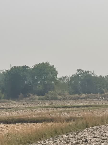 ขาย - ที่ดินเปล่า ต.โพธิ์ชัย เมืองหนองคาย ใกล้ มข. พิพิธภัณฑ์สัตว์น้ำ : Vacant Land in Pho Chai, Nong Khai, หนองคาย