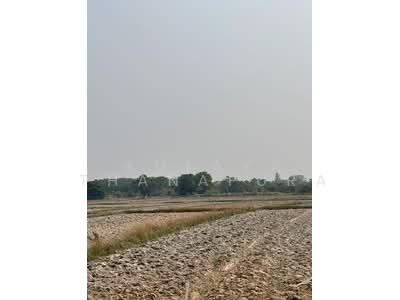ขาย - ที่ดินเปล่า ต.โพธิ์ชัย เมืองหนองคาย ใกล้ มข. พิพิธภัณฑ์สัตว์น้ำ : Vacant Land in Pho Chai, Nong Khai, หนองคาย