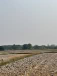 ที่ดินเปล่า ต.โพธิ์ชัย เมืองหนองคาย ใกล้ มข. พิพิธภัณฑ์สัตว์น้ำ : Vacant Land in Pho Chai, Nong Khai, หนองคาย