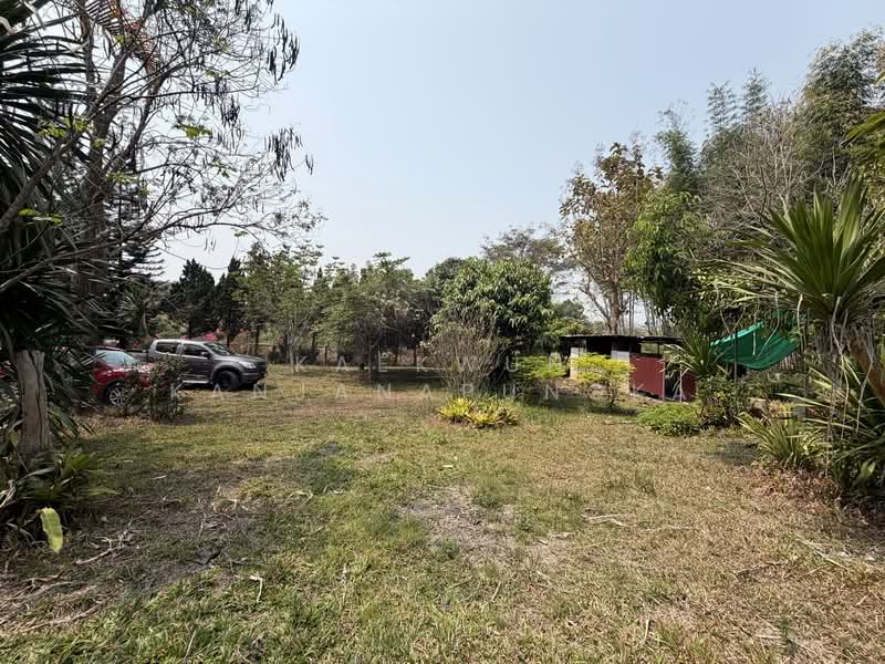Garden House for Sale & Rent with Mountain View in Pong Phrae, Mae Lao, Chiang Rai (Code: HB223), Chiang Rai, Bua Sali, Mae Lao, Chiang Rai, 3 Bedrooms, 340 sqm, Single Detached House Option To Buy, by Kaekwun Kanjanapungka, 500281103 - DDproperty.com