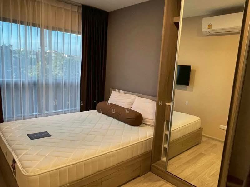ให้เช่า - Plum Condo Sukhumvit 97/1 : พลัมคอนโด สุขุมวิท 97/1, กรุงเทพ