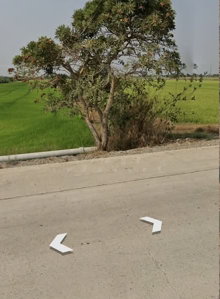 Pathumtanee Land, Nonthaburi, ทางหลวงชนบท 3017, Khun Sri, Sai Noi, Nonthaburi, , 32,000 sqm, Land For Sale, by พงศ์สุธี เหลืองเสรี, 500281165 - DDproperty.com