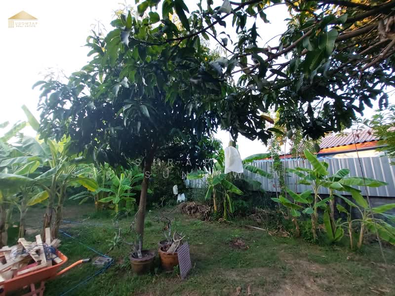 House + 7 Rental Units for Sale (Fully Occupied) – Sriracha, Chon Buri (Pattaya), ศรีราชาหนองค้อ, Surasak, Si Racha, Chon Buri (Pattaya), , 2,044 sqm, Business For Sale, by สิราภา เสริมสันติวาณิช, 500281189 - DDproperty.com