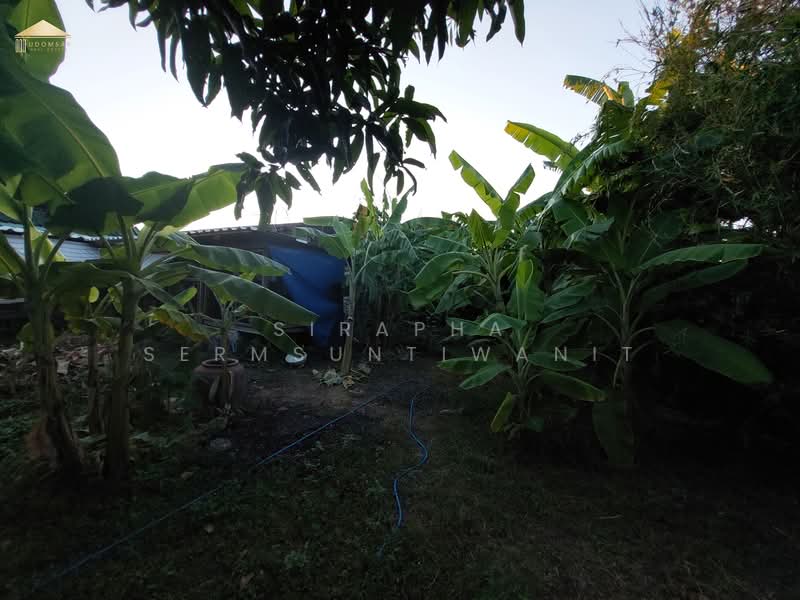 House + 7 Rental Units for Sale (Fully Occupied) – Sriracha, Chon Buri (Pattaya), ศรีราชาหนองค้อ, Surasak, Si Racha, Chon Buri (Pattaya), , 2,044 sqm, Business For Sale, by สิราภา เสริมสันติวาณิช, 500281189 - DDproperty.com
