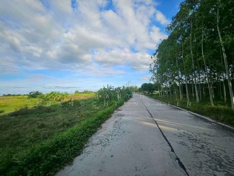 For Sale - ขายที่สวยราคาถูกชลบุรี อ. พนัสนิคม, Chon Buri (Pattaya)