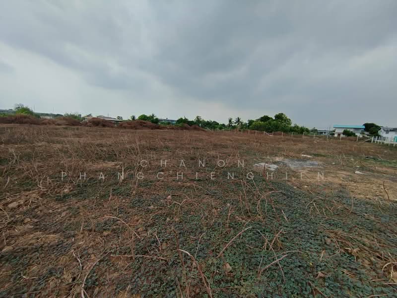 ขายที่ดินแปลงสวย ต.คลองข่อย อ.ปากเกร็ด จ.นนทบุรี, นนทบุรี, คลองข่อย, ปากเกร็ด, นนทบุรี, 3,200 ตร.ม., ที่ดิน ขาย, โดย Chanon Phangchienghien, 500281195 - DDproperty.com
