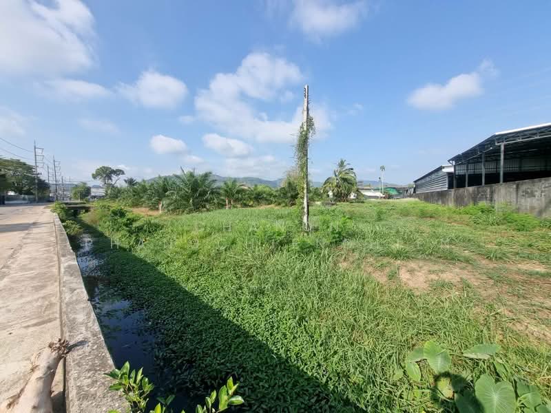 ขาย - ขายที่ดิน ทำเลเกาะแก้ว ภูเก็ต ใกล้หมู่บ้านแลนด์แอนด์เฮ้าส์, ภูเก็ต
