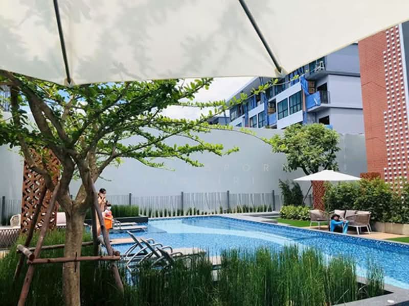 Arise Condo At Mahidol : อะไรซ์ คอนโด แอท มหิดล, เชียงใหม่, ถนน มหิดล, ป่าแดด, เมืองเชียงใหม่, เชียงใหม่, 27 ตร.ม., คอนโด ให้เช่า, โดย Rutchaporn Tunsiri, 500281499 - DDproperty.com