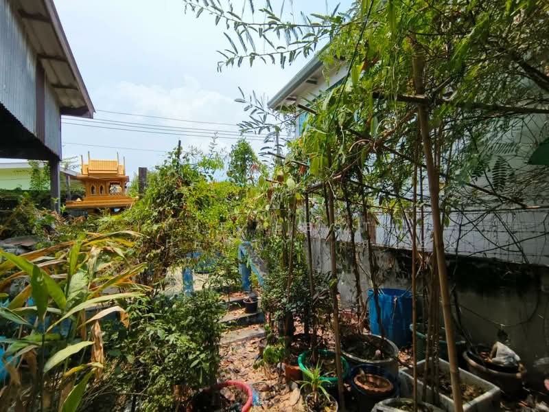ที่ดินพร้อมสิ่งปลูกสร้างบางบ่อ สมุทรปราการ, สมุทรปราการ, คลองด่าน, บางบ่อ, สมุทรปราการ, 896 ตร.ม., ที่ดิน ขาย, โดย The Best Property  สร้อย, 500281550 - DDproperty.com