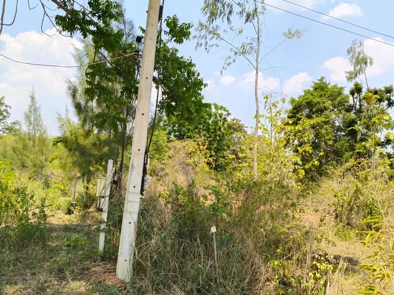ที่ดินบ้านคา ราชบุรี, ราชบุรี, บ้านคา, บ้านคา, ราชบุรี, 160,000 ตร.ม., ที่ดิน ขาย, โดย The Best Property ยุ, 500281552 - DDproperty.com