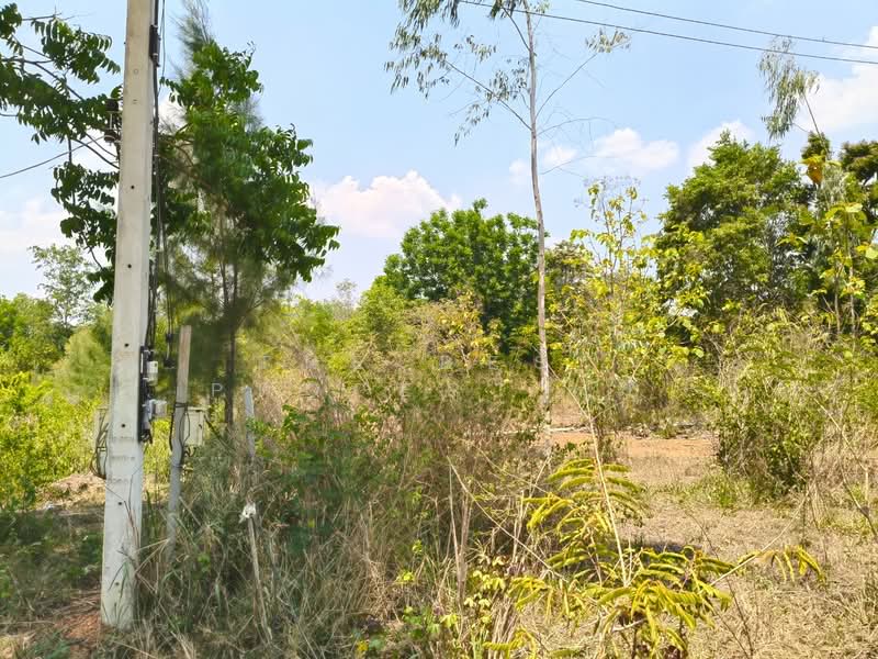 ที่ดินบ้านคา ราชบุรี, ราชบุรี, บ้านคา, บ้านคา, ราชบุรี, 160,000 ตร.ม., ที่ดิน ขาย, โดย The Best Property ยุ, 500281552 - DDproperty.com