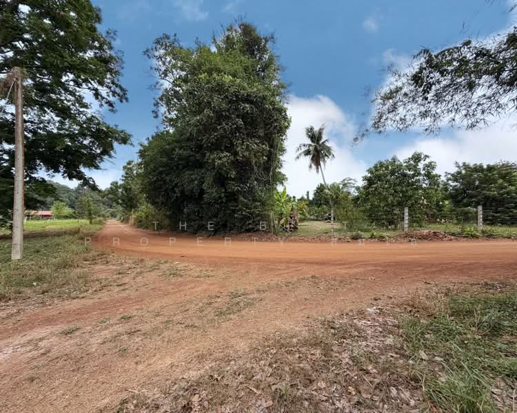 ที่ดินศรีมหาโพธิ ปราจีนบุรี, Prachin Buri, Nong Phrong, Sri Maha Pho, Prachin Buri, , 32,524 sqm, Land For Sale, by The Best Property ส้มโอ, 500281561 - DDproperty.com
