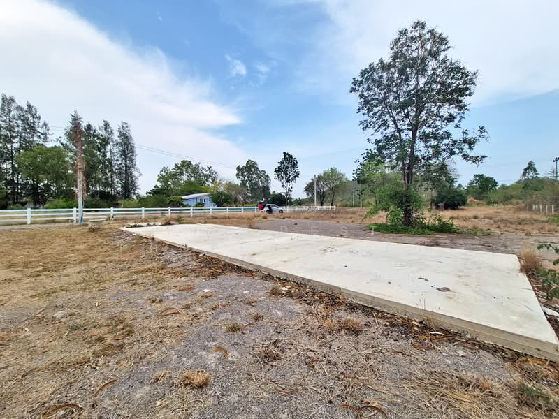 ที่ดินจอมบึง ราชบุรี, Ratchaburi, Rang Bua, Chom Bung, Ratchaburi, , 400 sqm, Land For Sale, by The Best Property อิ๋ว, 500281574 - DDproperty.com