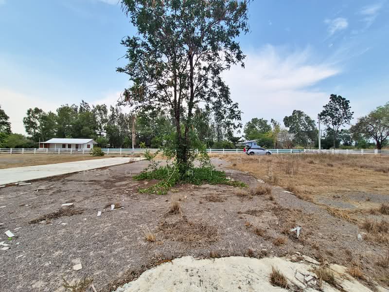 ที่ดินจอมบึง ราชบุรี, ราชบุรี, รางบัว, จอมบึง, ราชบุรี, 400 ตร.ม., ที่ดิน ขาย, โดย The Best Property อิ๋ว, 500281574 - DDproperty.com